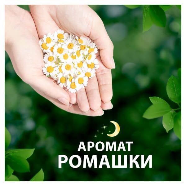 Натурелла прокладки Classic с крылышками Camomile Night №6