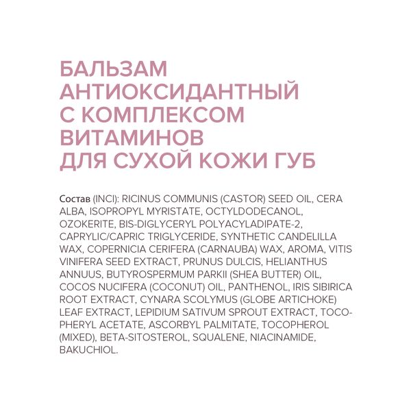 Бальзам для сухой кожи губ антиоксидантный с комплексом витаминов 4,2г
